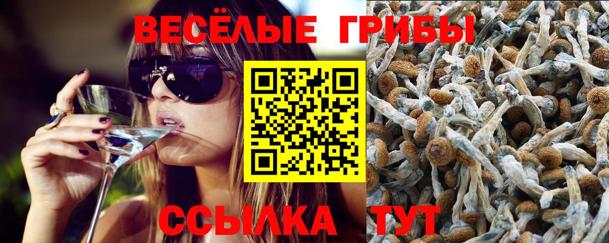 Михайловка  Галлюциногенные грибы ЛСД  Вход с VPN  Галлюциногенные грибы прущие грибы 