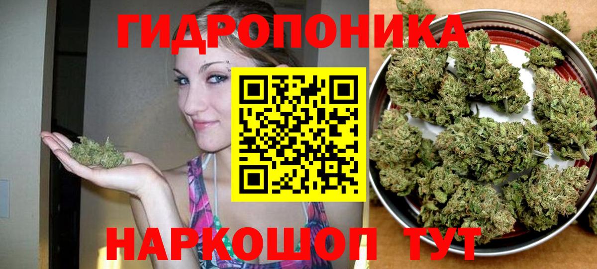 Конопля AK-47 Михайловка